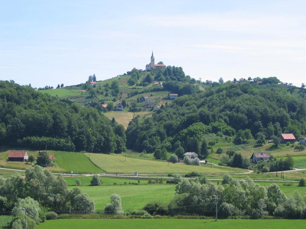 Apartmaji In Sobe Kocjancic Podcetrtek Esterno foto